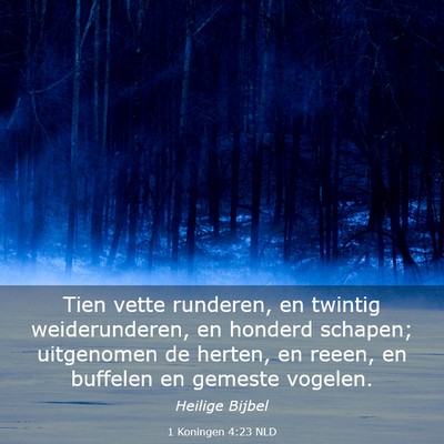 Picture 03 - 1 Koningen 4:23 NLD - Tien vette runderen, en twintig weiderunderen, en - Bible Verse Picture