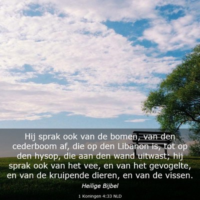 Picture 03 - 1 Koningen 4:33 NLD - Hij sprak ook van de bomen, van den cederboom af, - Bible Verse Picture