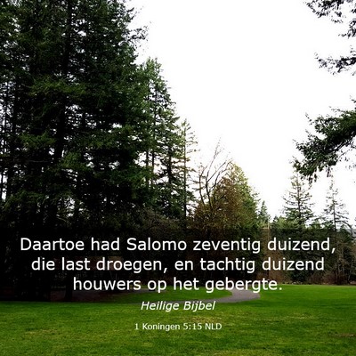 Picture 03 - 1 Koningen 5:15 NLD - Daartoe had Salomo zeventig duizend, die last - Bible Verse Picture