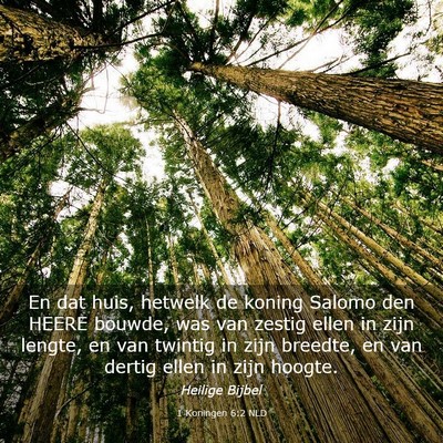 Picture 03 - 1 Koningen 6:2 NLD - En dat huis, hetwelk de koning Salomo den HEERE - Bible Verse Picture