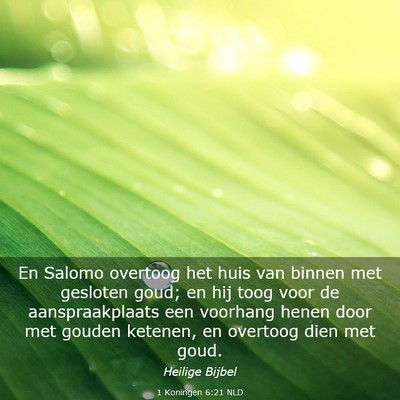 Picture 03 - 1 Koningen 6:21 NLD - En Salomo overtoog het huis van binnen met - Bible Verse Picture