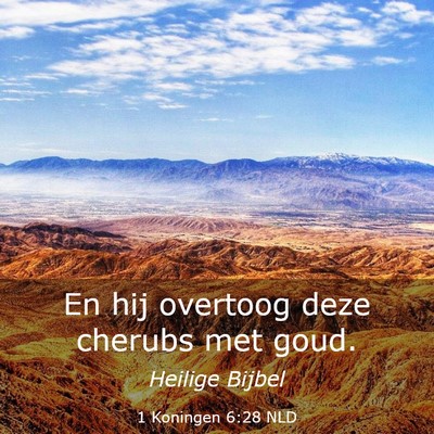 Picture 03 - 1 Koningen 6:28 NLD - En hij overtoog deze cherubs met - Bible Verse Picture
