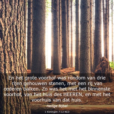 Picture 03 - 1 Koningen 7:12 NLD - En het grote voorhof was rondom van drie rijen - Bible Verse Picture