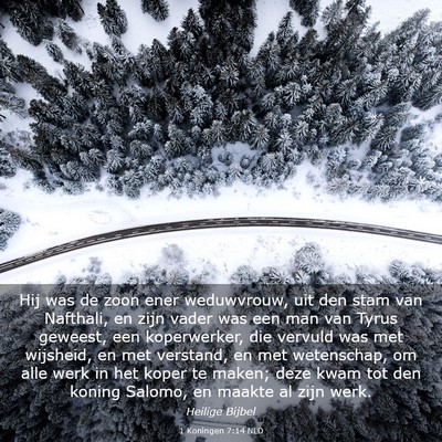 Picture 03 - 1 Koningen 7:14 NLD - Hij was de zoon ener weduwvrouw, uit den stam van - Bible Verse Picture
