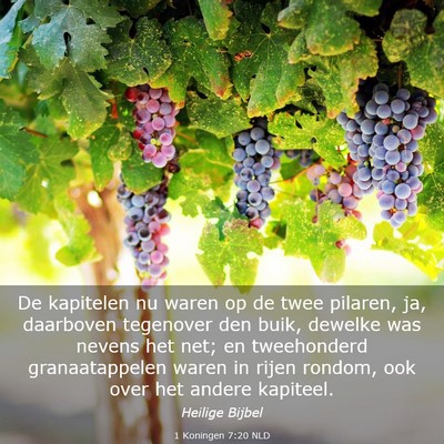 Picture 03 - 1 Koningen 7:20 NLD - De kapitelen nu waren op de twee pilaren, ja, - Bible Verse Picture
