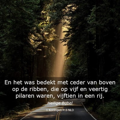 Picture 03 - 1 Koningen 7:3 NLD - En het was bedekt met ceder van boven op de - Bible Verse Picture