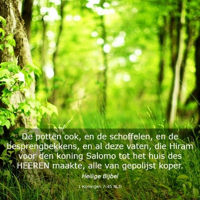 Picture 03 - 1 Koningen 7:45 NLD - De potten ook, en de schoffelen, en de - Bible Verse Picture