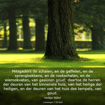 Picture 03 - 1 Koningen 7:50 NLD - Mitsgaders de schalen, en de gaffelen, en de - Bible Verse Picture