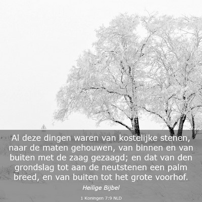 Picture 03 - 1 Koningen 7:9 NLD - Al deze dingen waren van kostelijke stenen, naar - Bible Verse Picture