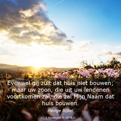 Picture 03 - 1 Koningen 8:19 NLD - Evenwel gij zult dat huis niet bouwen; maar uw - Bible Verse Picture