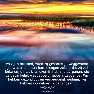 Picture 03 - 1 Koningen 8:47 NLD - En zij in het land, waar zij gevankelijk - Bible Verse Picture
