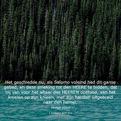 Picture 03 - 1 Koningen 8:54 NLD - Het geschiedde nu, als Salomo voleind had dit - Bible Verse Picture