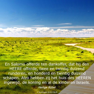Picture 03 - 1 Koningen 8:63 NLD - En Salomo offerde ten dankoffer, dat hij den - Bible Verse Picture