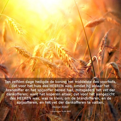Picture 03 - 1 Koningen 8:64 NLD - Ten zelfden dage heiligde de koning het middelste - Bible Verse Picture