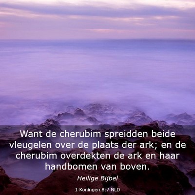 Picture 03 - 1 Koningen 8:7 NLD - Want de cherubim spreidden beide vleugelen over - Bible Verse Picture