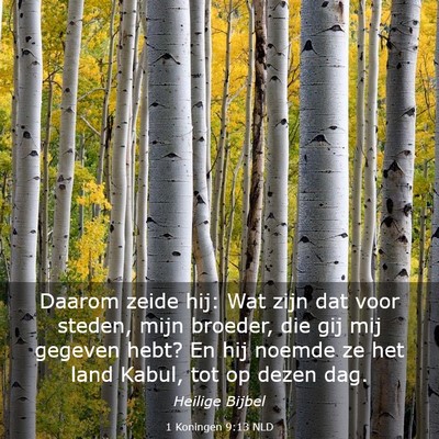 Picture 03 - 1 Koningen 9:13 NLD - Daarom zeide hij: Wat zijn dat voor steden, mijn - Bible Verse Picture