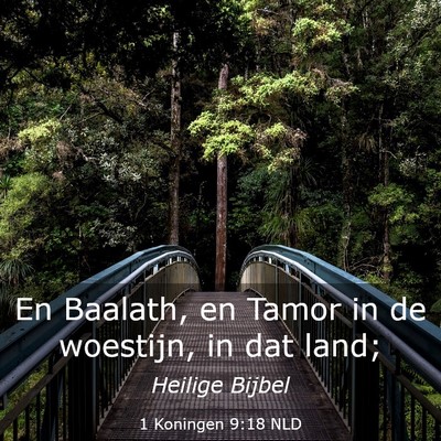Picture 03 - 1 Koningen 9:18 NLD - En Baalath, en Tamor in de woestijn, in dat - Bible Verse Picture
