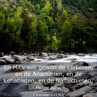 Picture 03 - 1 Kronieken 1:11 NLD - En Mitsraim gewon de Ludieten, en de Anamieten, - Bible Verse Picture