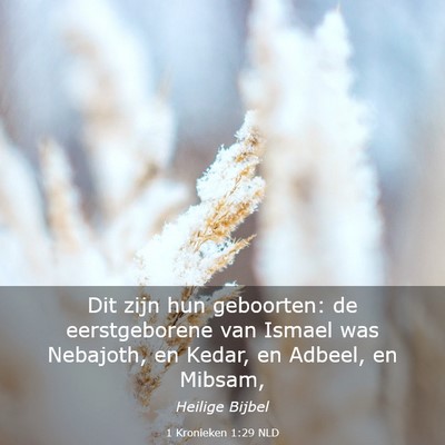 Picture 03 - 1 Kronieken 1:29 NLD - Dit zijn hun geboorten: de eerstgeborene van - Bible Verse Picture