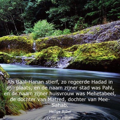 Picture 03 - 1 Kronieken 1:50 NLD - Als Baal-Hanan stierf, zo regeerde Hadad in zijn - Bible Verse Picture