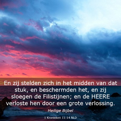 Picture 03 - 1 Kronieken 11:14 NLD - En zij stelden zich in het midden van dat stuk, - Bible Verse Picture