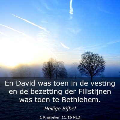 Picture 03 - 1 Kronieken 11:16 NLD - En David was toen in de vesting en de bezetting - Bible Verse Picture
