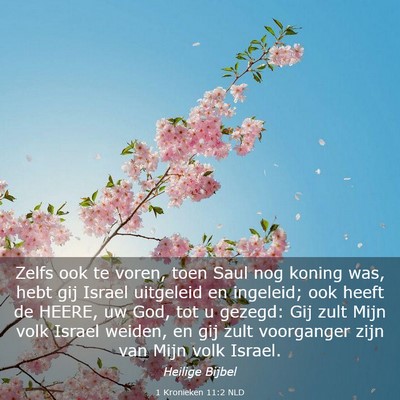 Picture 03 - 1 Kronieken 11:2 NLD - Zelfs ook te voren, toen Saul nog koning was, - Bible Verse Picture