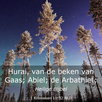 Picture 03 - 1 Kronieken 11:32 NLD - Hurai, van de beken van Gaas; Abiel; de - Bible Verse Picture