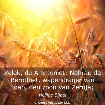 Picture 03 - 1 Kronieken 11:39 NLD - Zelek, de Ammoniet; Nahrai, de Berothiet, - Bible Verse Picture