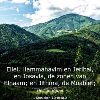 Picture 03 - 1 Kronieken 11:46 NLD - Eliel, Hammahavim en Jeribai, en Josavia, de - Bible Verse Picture