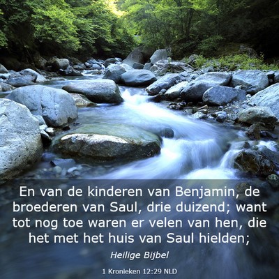 Picture 03 - 1 Kronieken 12:29 NLD - En van de kinderen van Benjamin, de broederen van - Bible Verse Picture