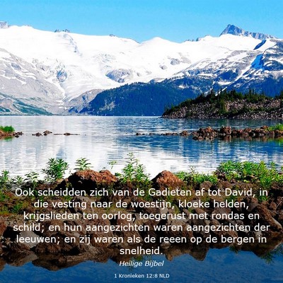 Picture 03 - 1 Kronieken 12:8 NLD - Ook scheidden zich van de Gadieten af tot David, - Bible Verse Picture