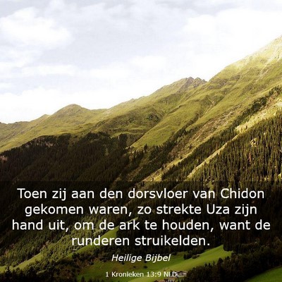 Picture 03 - 1 Kronieken 13:9 NLD - Toen zij aan den dorsvloer van Chidon gekomen - Bible Verse Picture