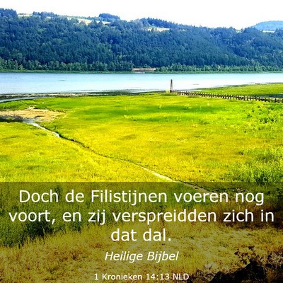Picture 03 - 1 Kronieken 14:13 NLD - Doch de Filistijnen voeren nog voort, en zij - Bible Verse Picture