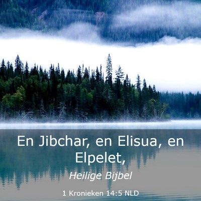 Picture 03 - 1 Kronieken 14:5 NLD - En Jibchar, en Elisua, en - Bible Verse Picture