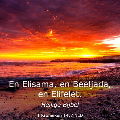 Picture 03 - 1 Kronieken 14:7 NLD - En Elisama, en Beeljada, en - Bible Verse Picture