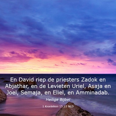 Picture 03 - 1 Kronieken 15:11 NLD - En David riep de priesters Zadok en Abjathar, en - Bible Verse Picture