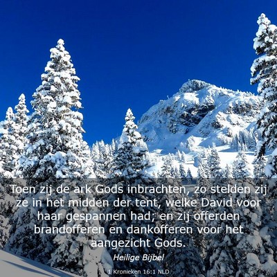 Picture 03 - 1 Kronieken 16:1 NLD - Toen zij de ark Gods inbrachten, zo stelden zij - Bible Verse Picture