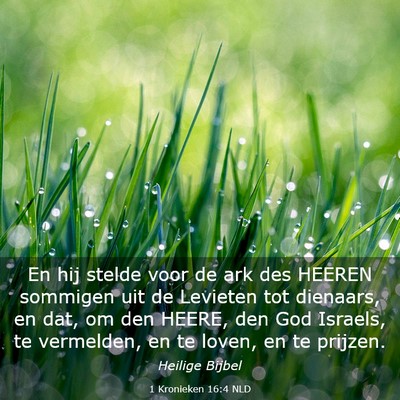 Picture 03 - 1 Kronieken 16:4 NLD - En hij stelde voor de ark des HEEREN sommigen uit - Bible Verse Picture