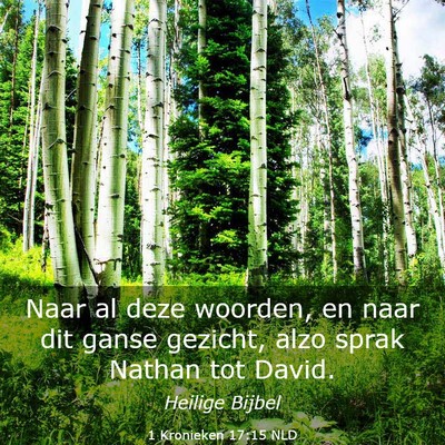 Picture 03 - 1 Kronieken 17:15 NLD - Naar al deze woorden, en naar dit ganse gezicht, - Bible Verse Picture