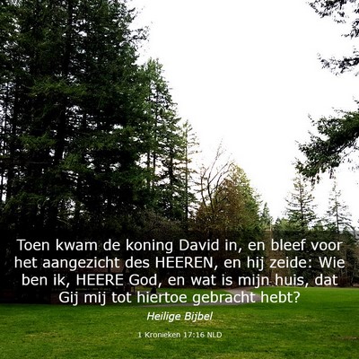 Picture 03 - 1 Kronieken 17:16 NLD - Toen kwam de koning David in, en bleef voor het - Bible Verse Picture