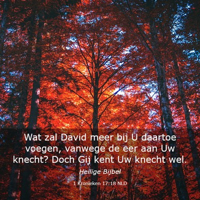 Picture 03 - 1 Kronieken 17:18 NLD - Wat zal David meer bij U daartoe voegen, vanwege - Bible Verse Picture