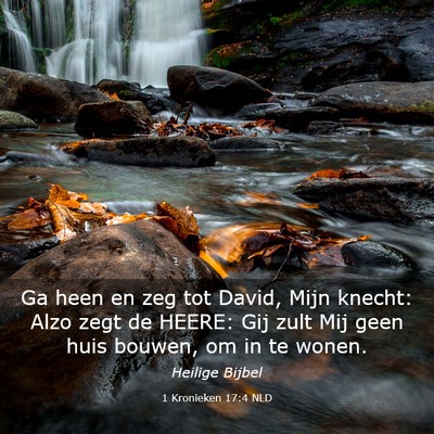 Picture 03 - 1 Kronieken 17:4 NLD - Ga heen en zeg tot David, Mijn knecht: Alzo zegt - Bible Verse Picture
