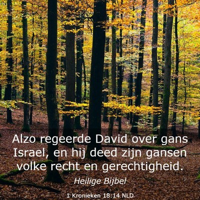 Picture 03 - 1 Kronieken 18:14 NLD - Alzo regeerde David over gans Israel, en hij deed - Bible Verse Picture