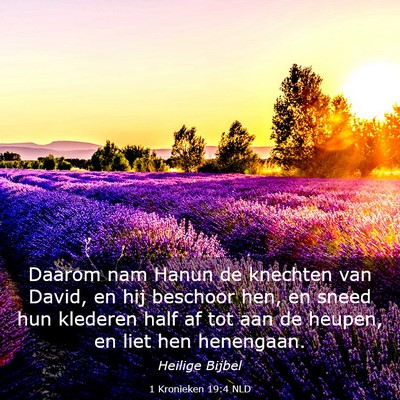 Picture 03 - 1 Kronieken 19:4 NLD - Daarom nam Hanun de knechten van David, en hij - Bible Verse Picture