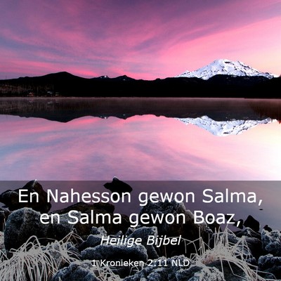 Picture 03 - 1 Kronieken 2:11 NLD - En Nahesson gewon Salma, en Salma gewon - Bible Verse Picture