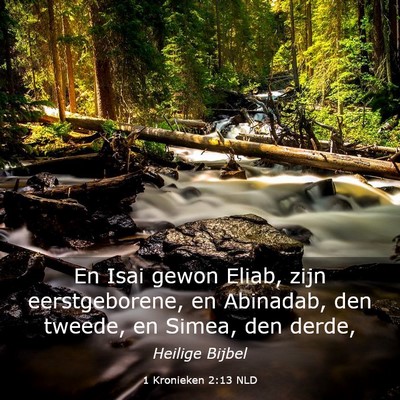Picture 03 - 1 Kronieken 2:13 NLD - En Isai gewon Eliab, zijn eerstgeborene, en - Bible Verse Picture