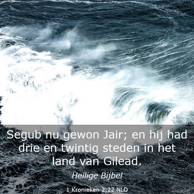 Picture 03 - 1 Kronieken 2:22 NLD - Segub nu gewon Jair; en hij had drie en twintig - Bible Verse Picture