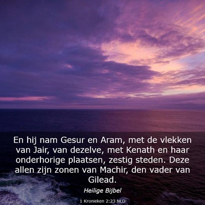 Picture 03 - 1 Kronieken 2:23 NLD - En hij nam Gesur en Aram, met de vlekken van - Bible Verse Picture