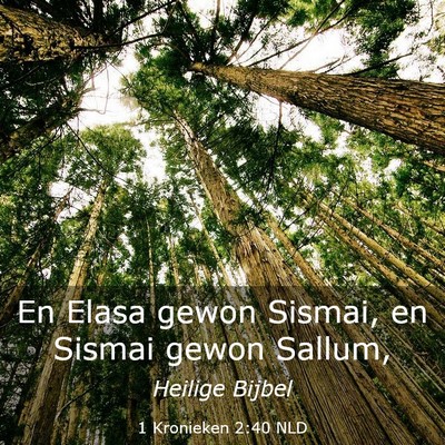Picture 03 - 1 Kronieken 2:40 NLD - En Elasa gewon Sismai, en Sismai gewon - Bible Verse Picture